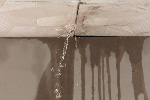 Professional Water Damage Repair technician working in Thomaston, NY